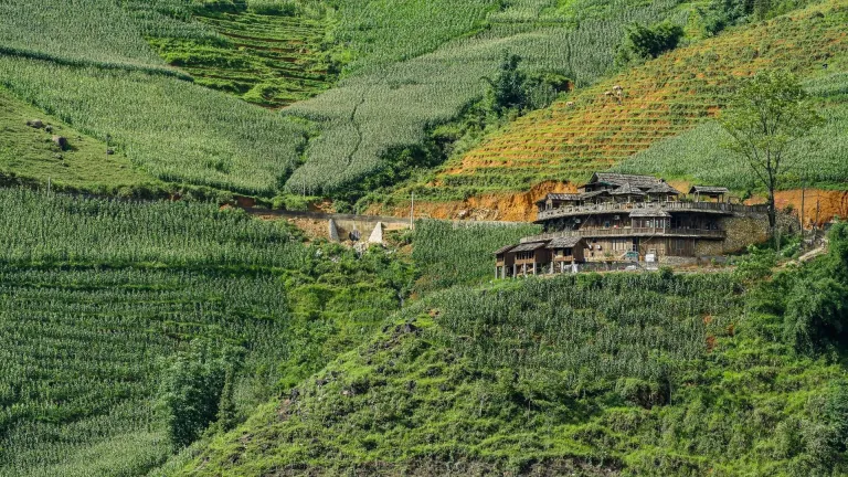 Vietnamese homestay with Sapa rice fields view