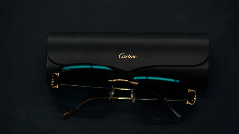 Cartier SunglassesPedro Domingos