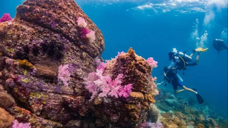 Diving at Koh Lipe