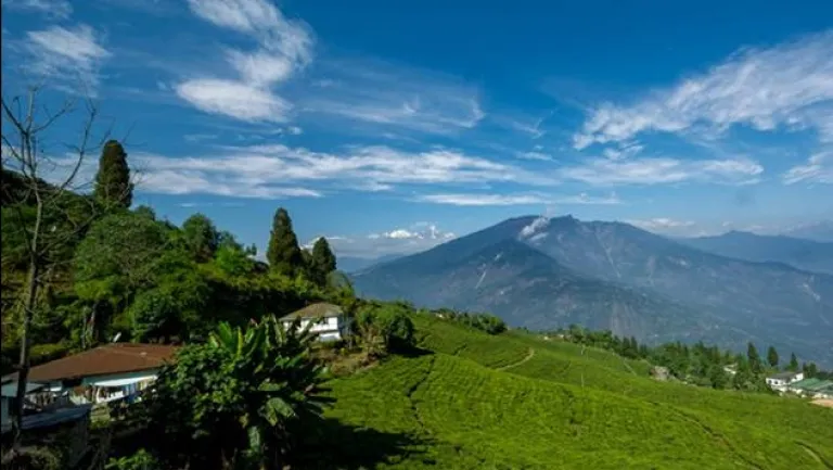 Pelling in the spring