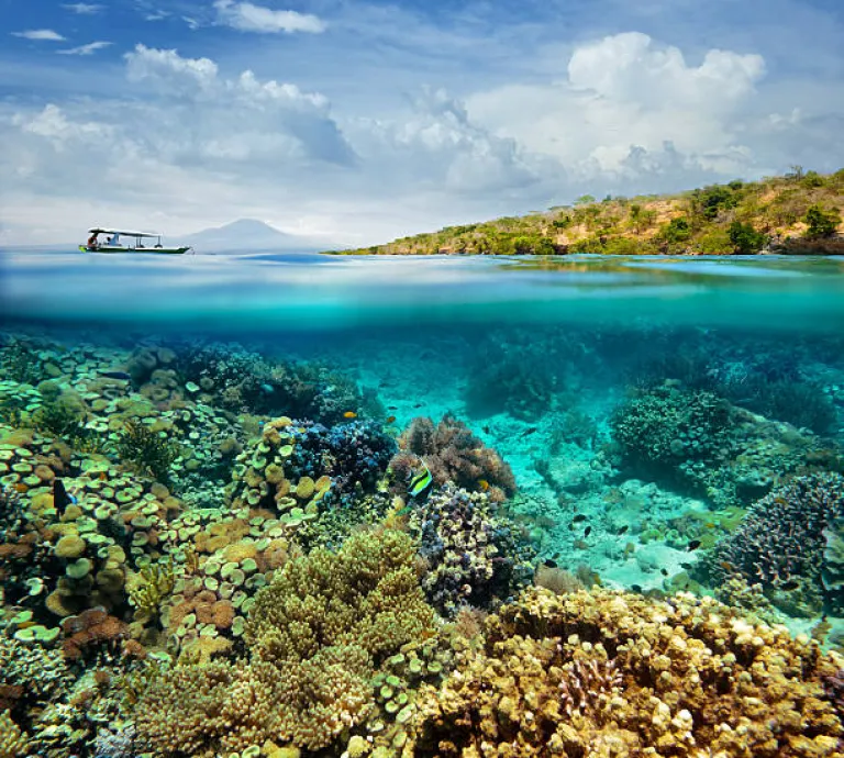 Clear Waters of Menjangan Island