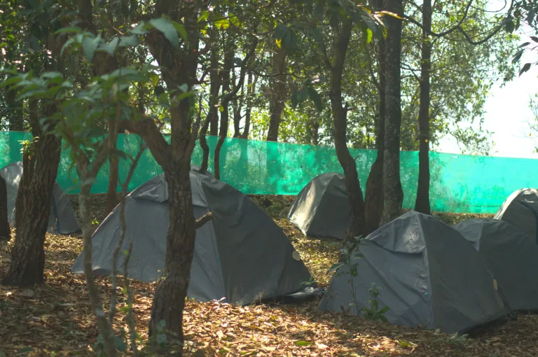 Camping