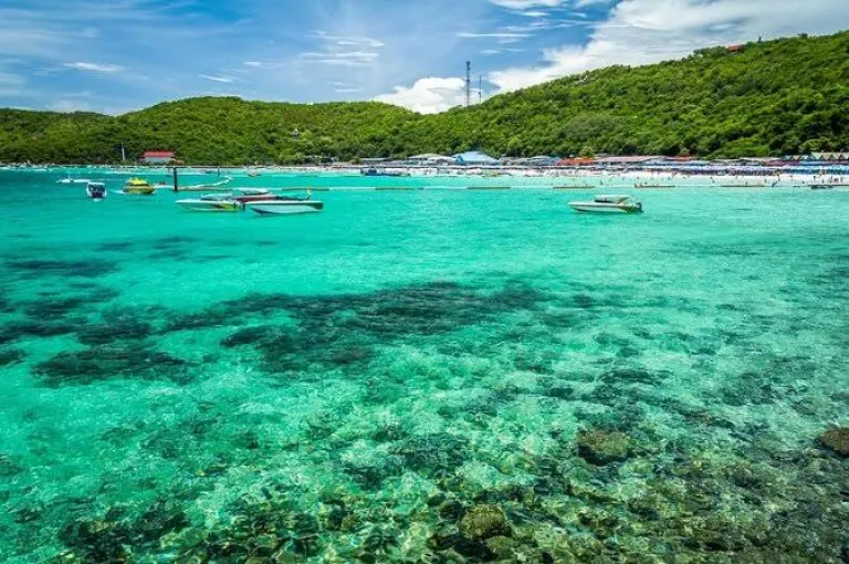 Coral Island Day Trip