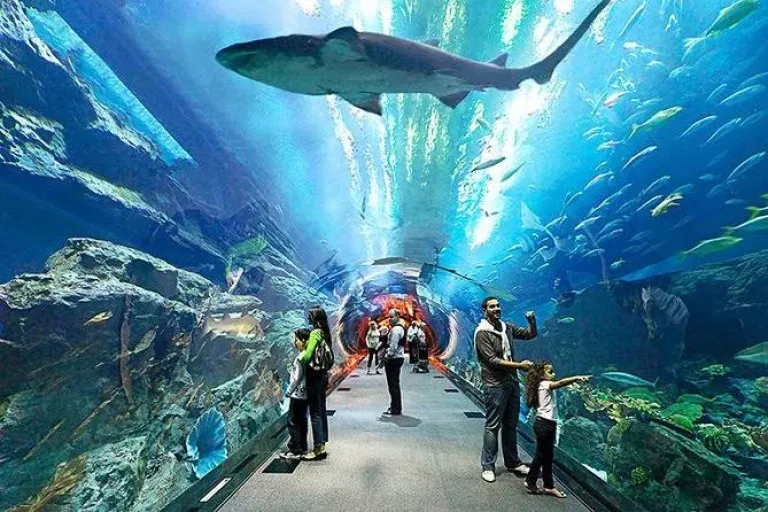 Pattaya&rsquo;s Underwater World