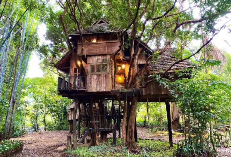 Treehouse in Pai