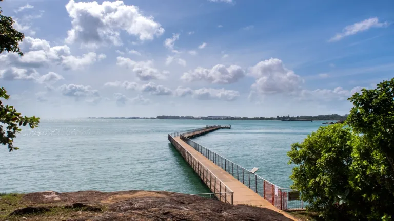 Chek Jawa Broadwalk Jetty