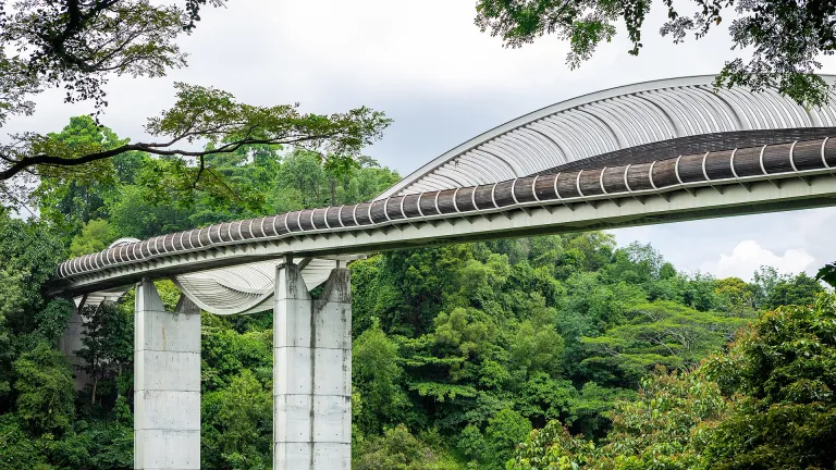 Henderson Wave Bridge@@Supanut Arunoprayote - Own work, CC BY 4.0