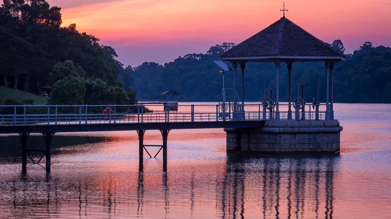 MacRitchie Reservoir at sunset