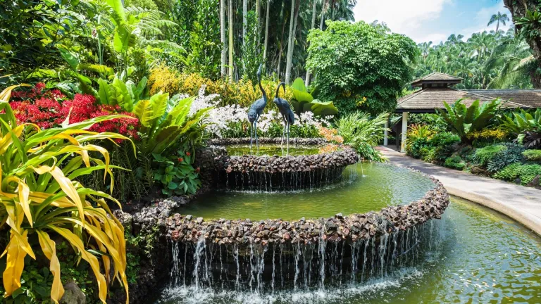 Singapore Botanical Gardens