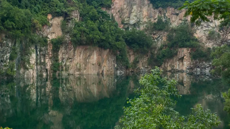 Bukit Timah Nature Reserve