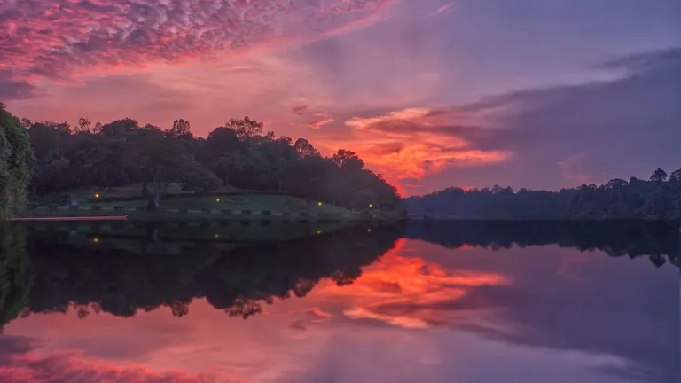 Lower Seletar Reservoir Park at dawn