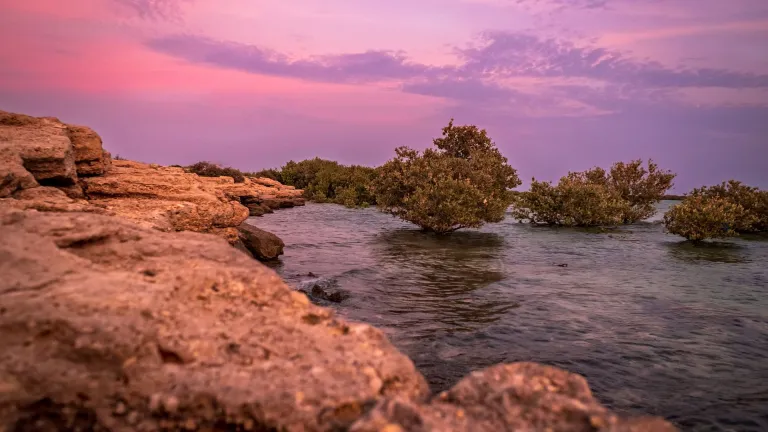 Sunset over Purple Island