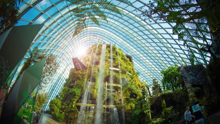 Forest Inside a Futuristic Dome