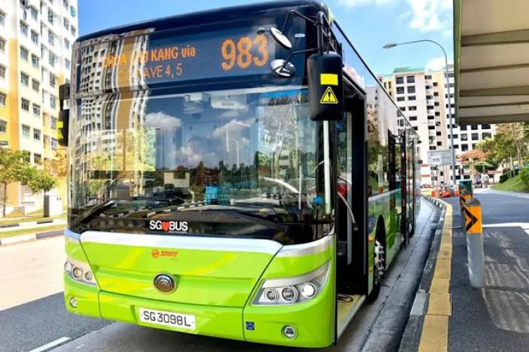 Buses of Singapore 