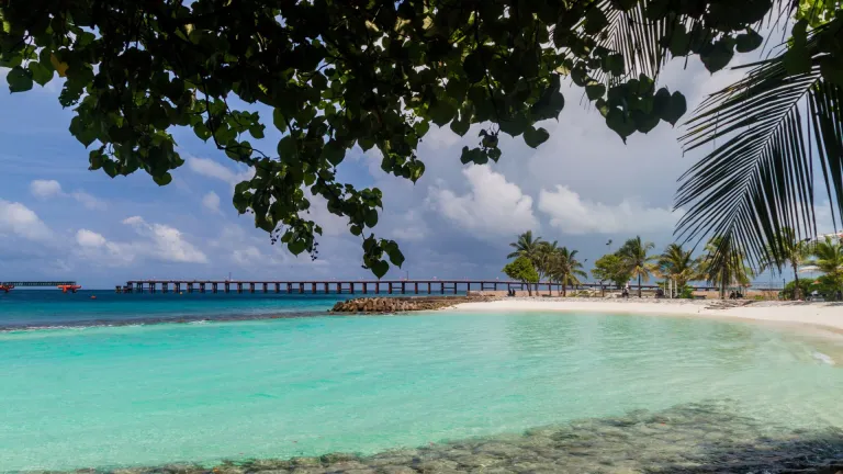 Artificial Beach, Mal&eacute;