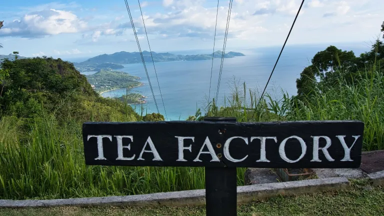 Panoramic viewpoint from the Tea Factory