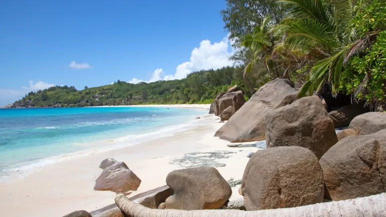 Anse Intendance beach