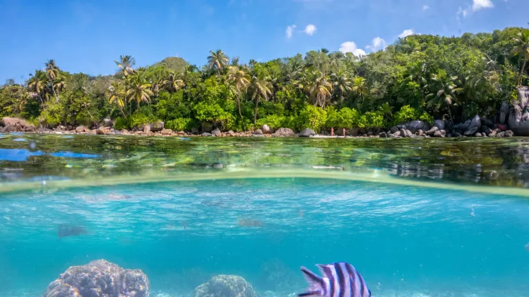 Anse Royale beach