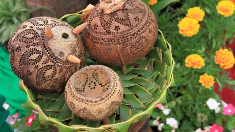 Coconut shell carving