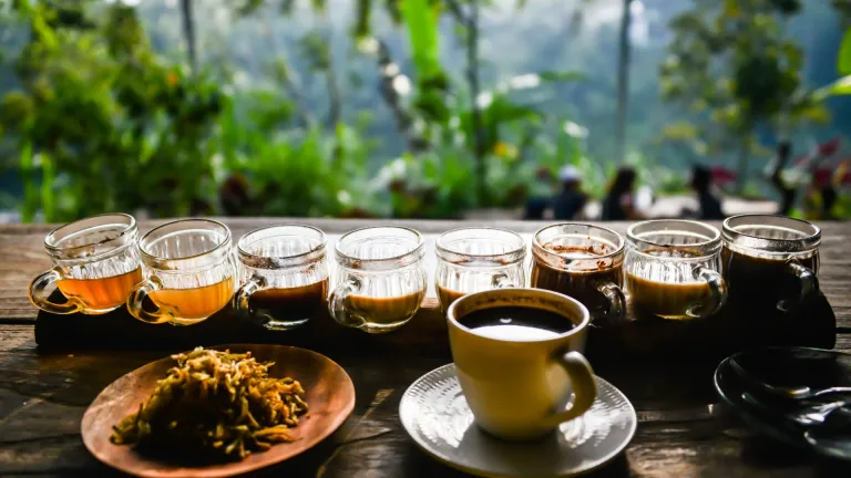 Kopi Luwak Coffee