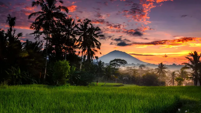 Morning at Ubud