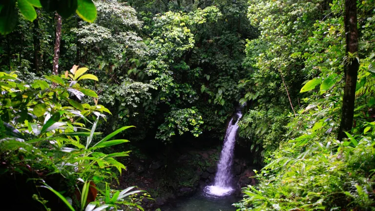 Middleham Falls, Morne Trois Pitons National Park, Dominica