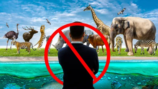 image for article Japan Zoo Bans Solo Male Visitor: What Indian Travelers Need to Know