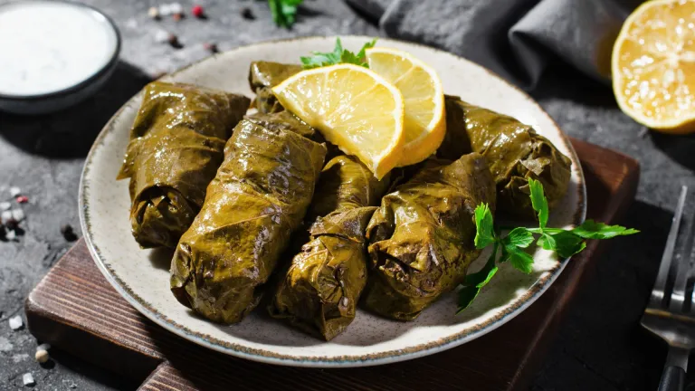 Dolma (stuffed grape leaves)