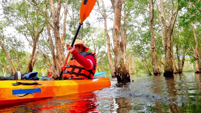 Kayaking in Mandai Mangroves