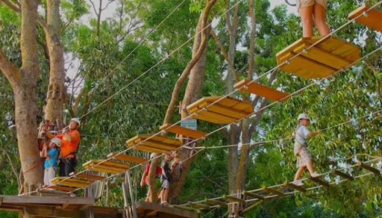 Forest Adventure at Bedok Reservoir