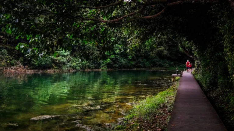 Hiking at MacRitchie Reservoir