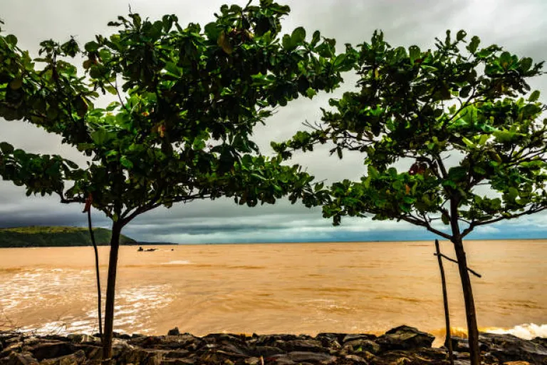 Aghanashini Backwaters