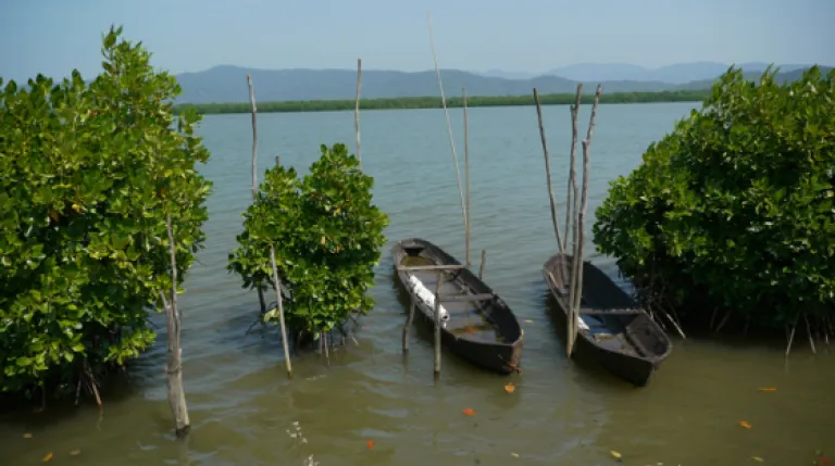 Tadadi Port