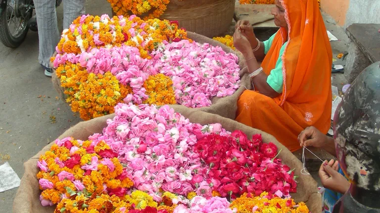 Flower seller at Pushkar Fair