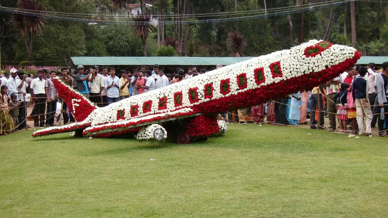 Ooty Flower Show, Tamil Nadu