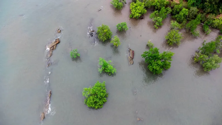 Ao Thalane Mangroves