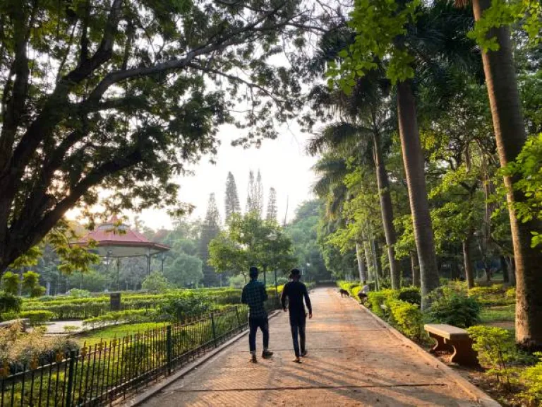 Cubbon Park