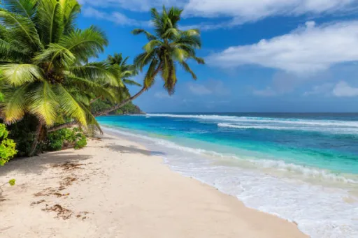 image for article Why Summer is the best time to visit Philippines?