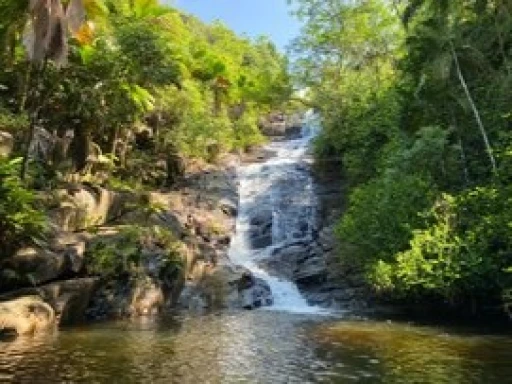 image for article Travel to Seychelles from India, 2023