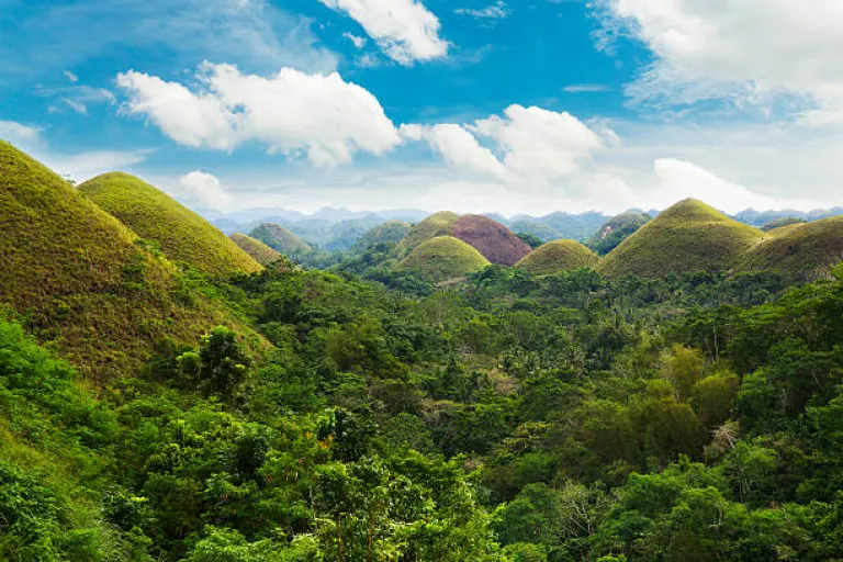 Bohol