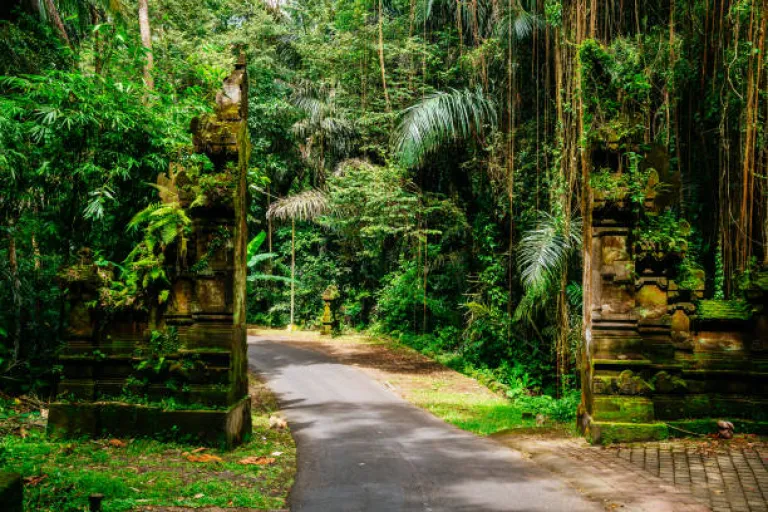 ATV Ride Through Ubud Jungles in Bali