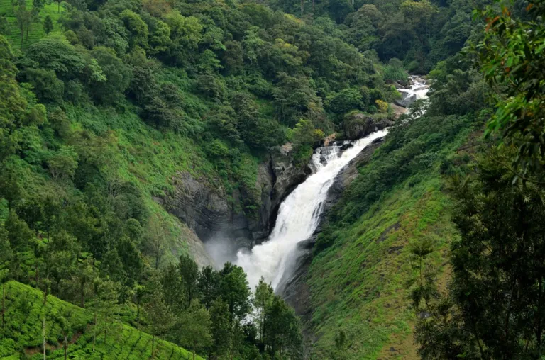 @@Keralatourism 