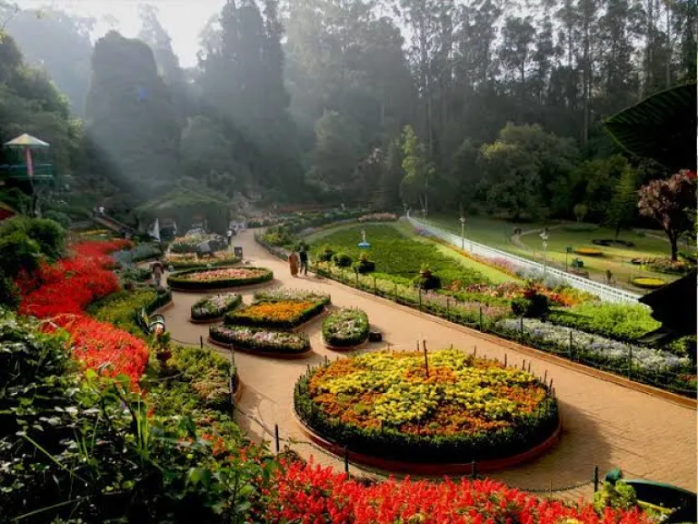 Ooty Summer Festival