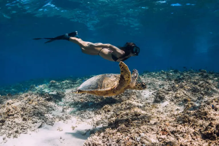 Snorkeling in the Gili Islands, Indonesia