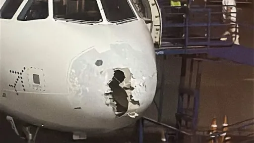 image for article Delhi to Srinagar IndiGo Flight Makes Emergency Landing