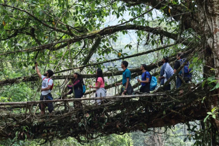 Trekking the Living Root Bridges in Meghalaya