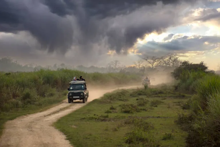 Wildlife Safari in Kaziranga