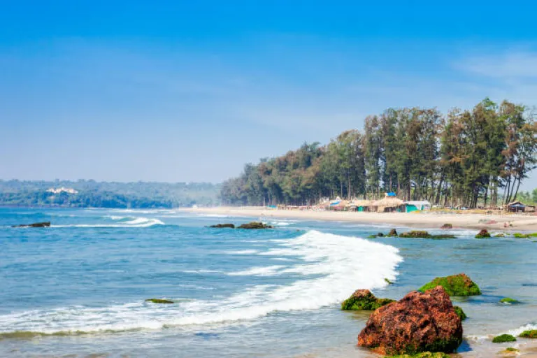 Benaulim Beach