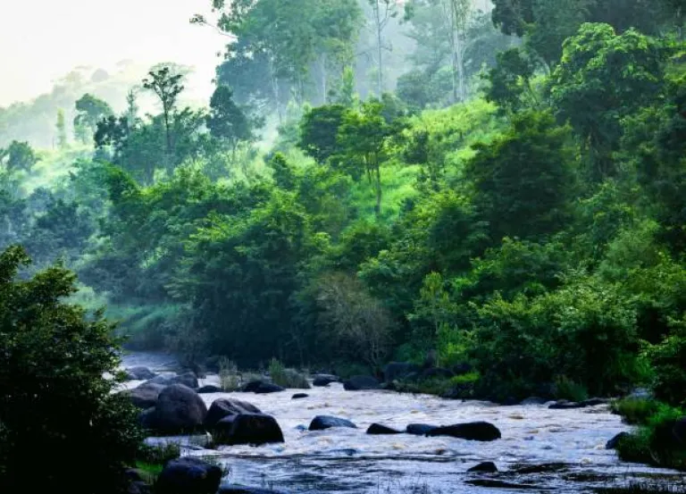  Araku Valley