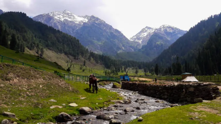 Gulmarg